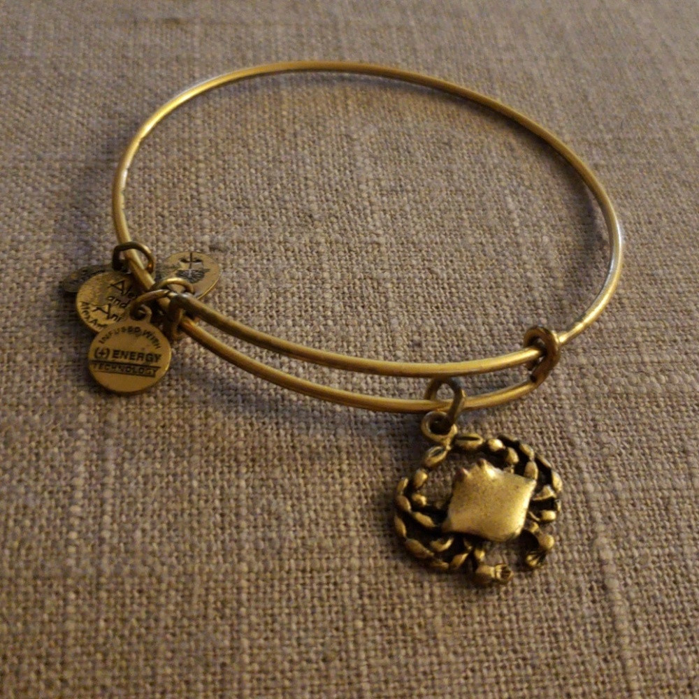 Alex and Ani gold crab bangle